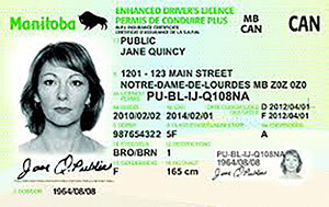 MB driver's license