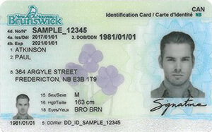 NB driver's license