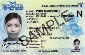 NS driver's license