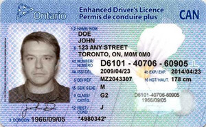 ON driver's license