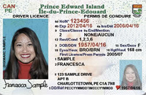 PE driver's license
