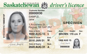 SK driver's license