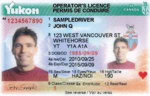 YT driver's license